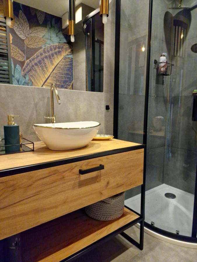 Eastside Apartments-Apartament Nr 6 Świeradów-Zdrój エクステリア 写真